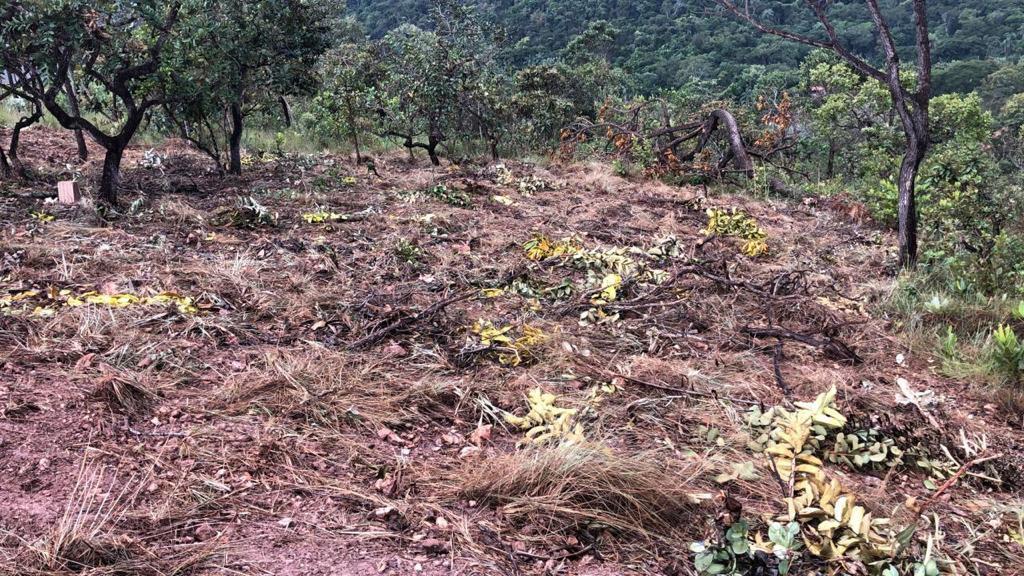 Lote, Arraial Velho, 0 Quarto, 0 Vaga