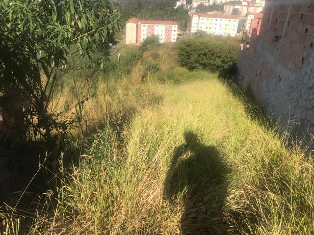 Lote, Jardim Vitória, 0 Quarto, 0 Vaga