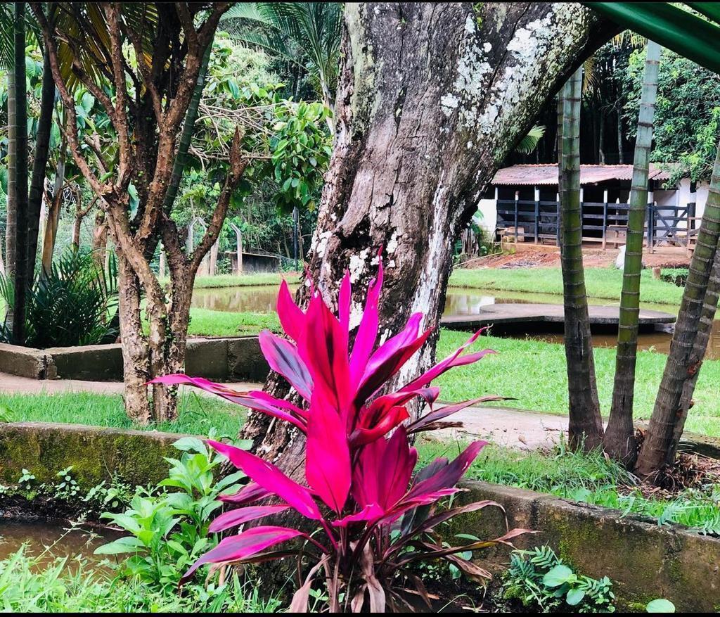 Fazenda, Recanto do Igarapé, 4 Quartos, 4 Vagas, 1 Suíte