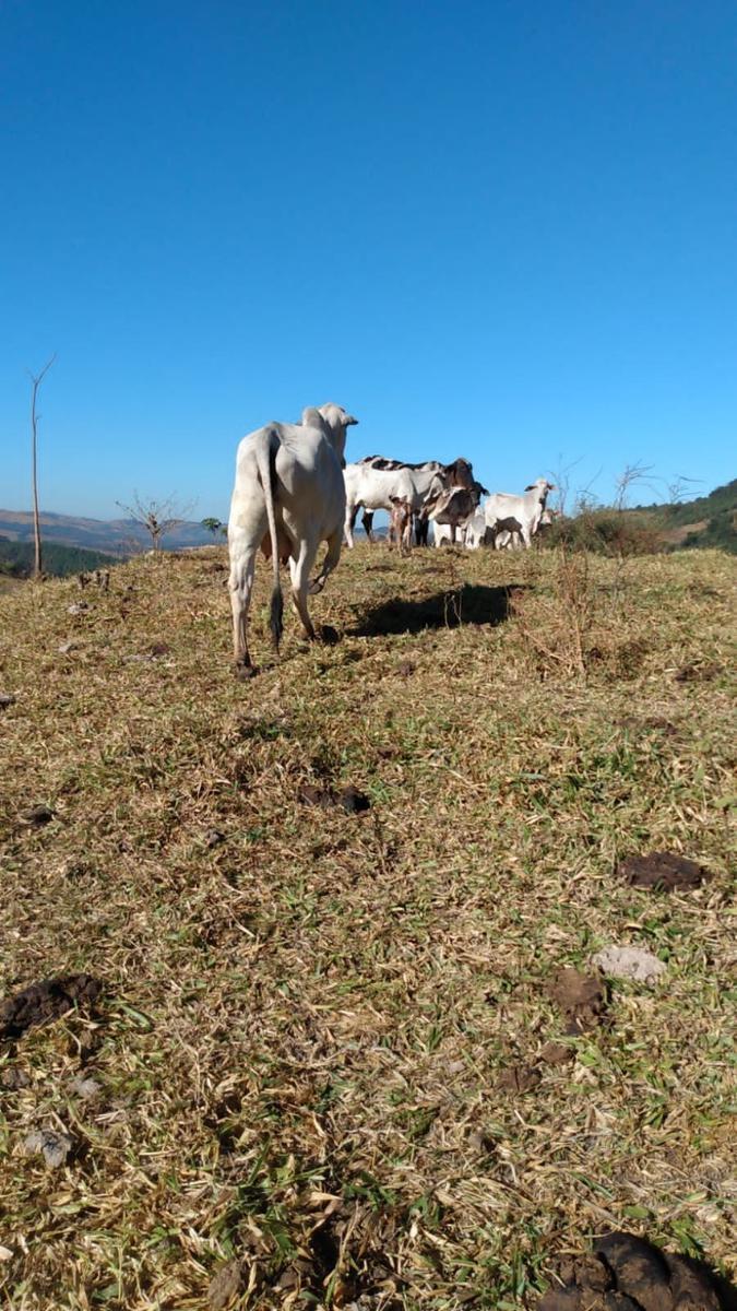 Fazenda, Zona Rural, 3 Quartos, 0 Vaga