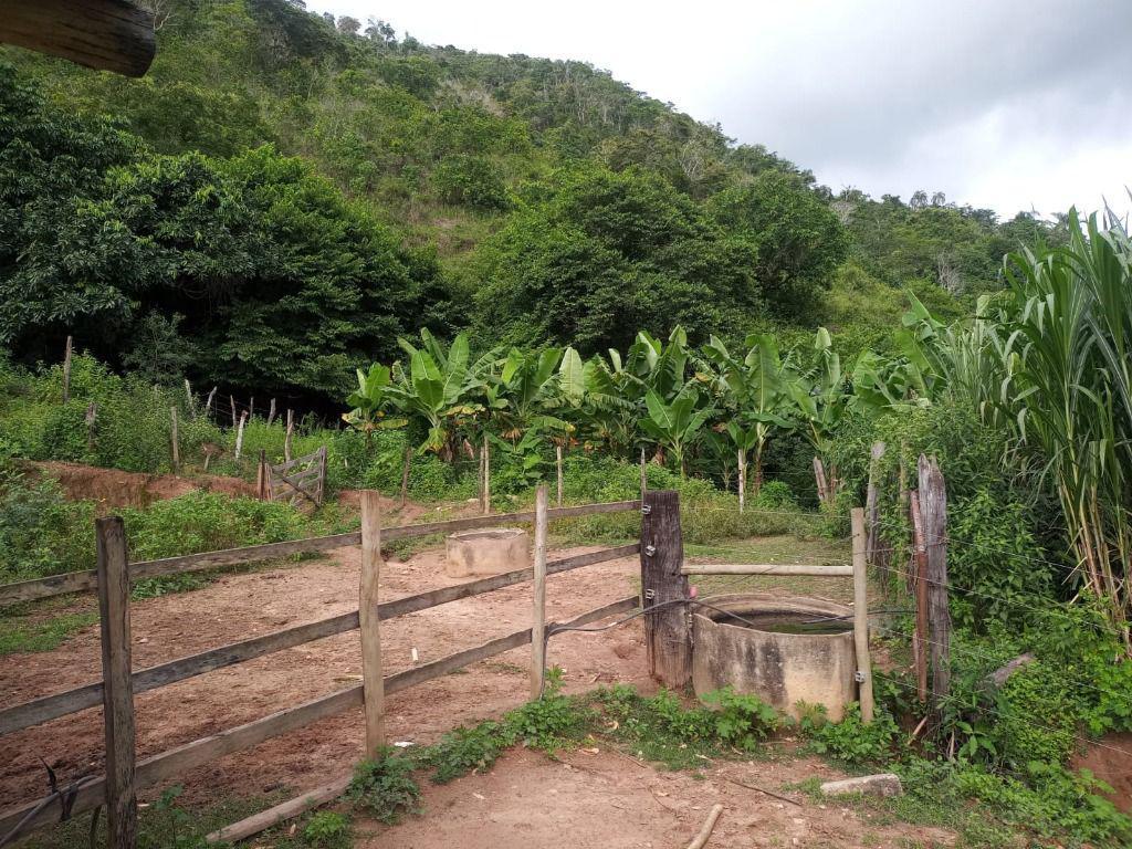 Fazenda, Centro, 3 Quartos, 0 Vaga, 1 Suíte