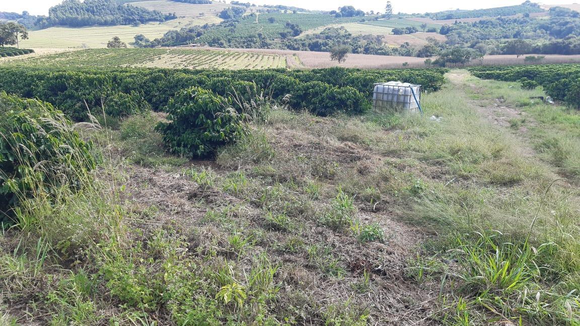 Fazenda, Centro, 3 Quartos, 1 Vaga