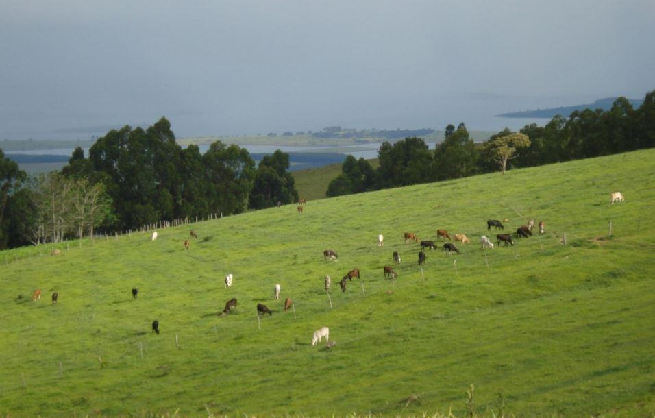 Fazenda, Zona Rural, 2 Quartos, 1 Vaga, 1 Suíte
