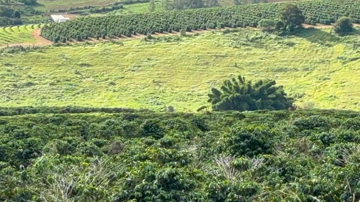 Fazenda, Zona Rural, 0 Quarto, 0 Vaga