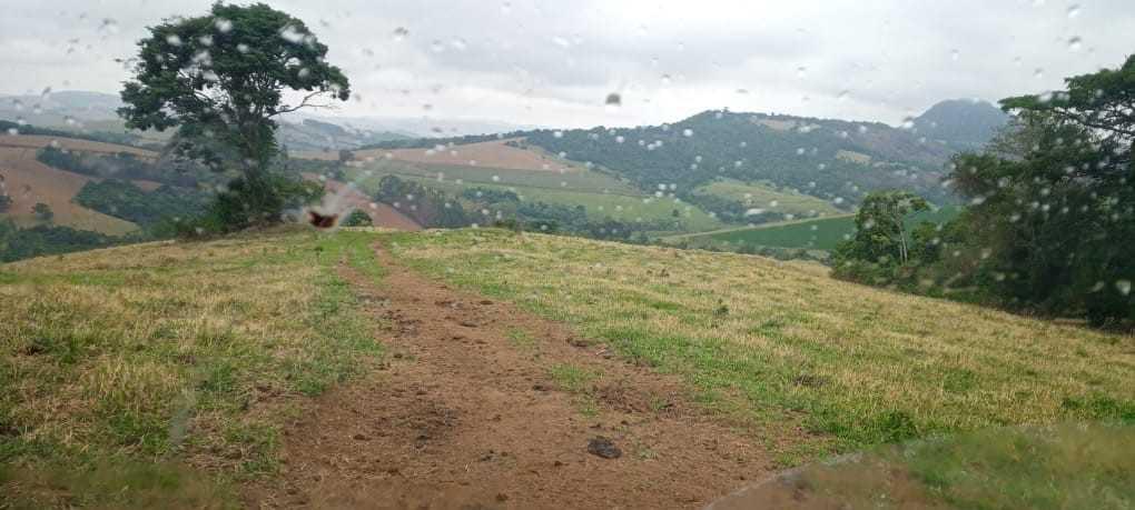 Fazenda, Centro, 0 Quarto, 0 Vaga