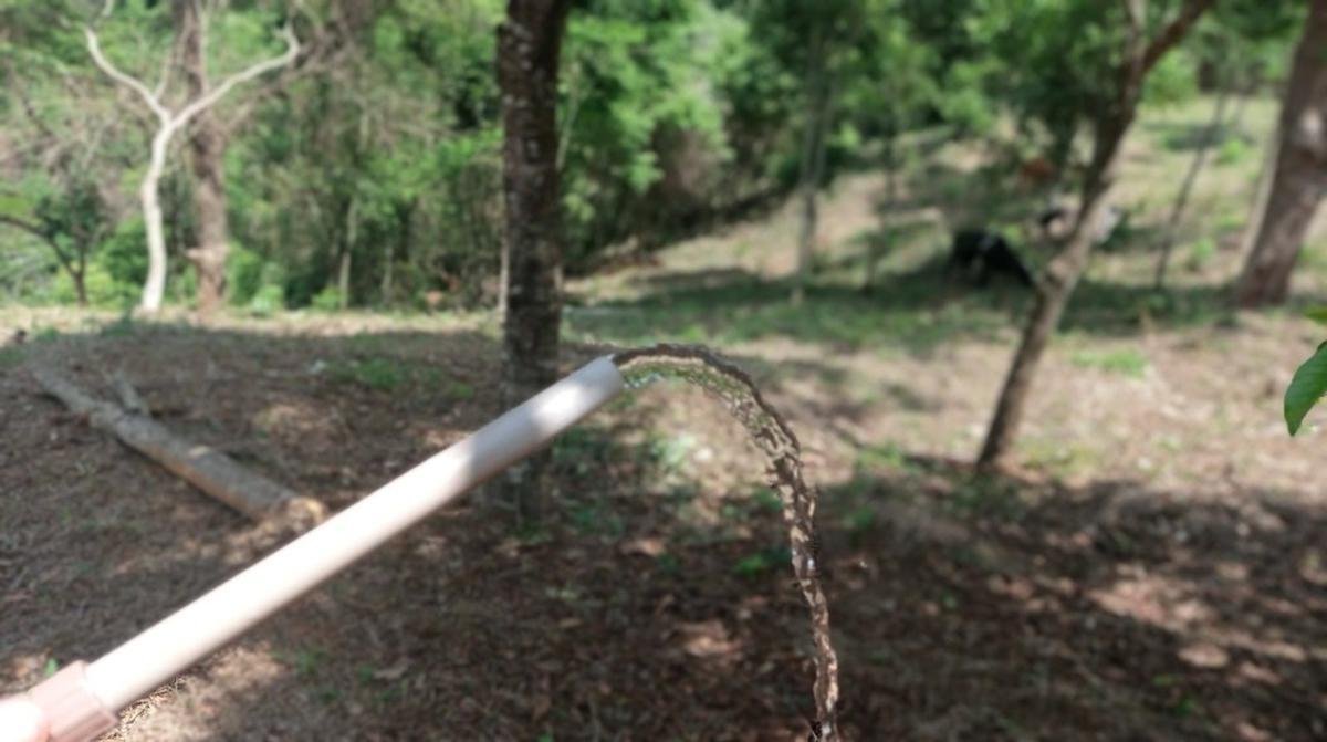 Fazenda, Zona Rural, 1 Quarto, 0 Vaga