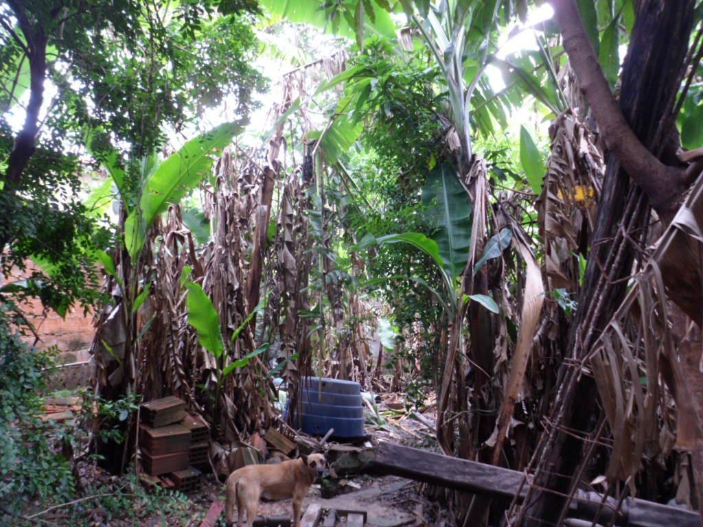 Lote, Vera Cruz, 1 Quarto, 0 Vaga