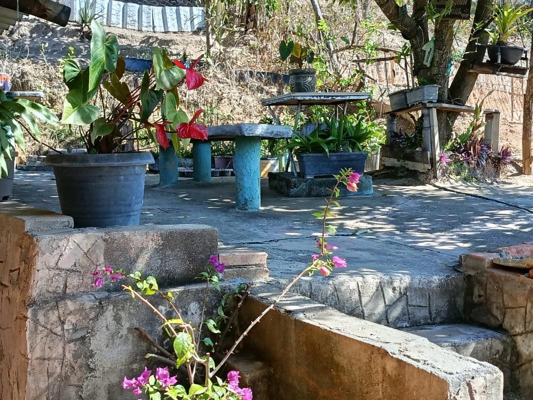 Fazenda, Centro, 3 Quartos, 3 Vagas, 1 Suíte