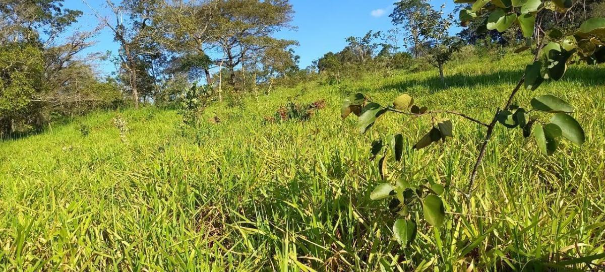Fazenda, Centro, 4 Quartos, 2 Vagas
