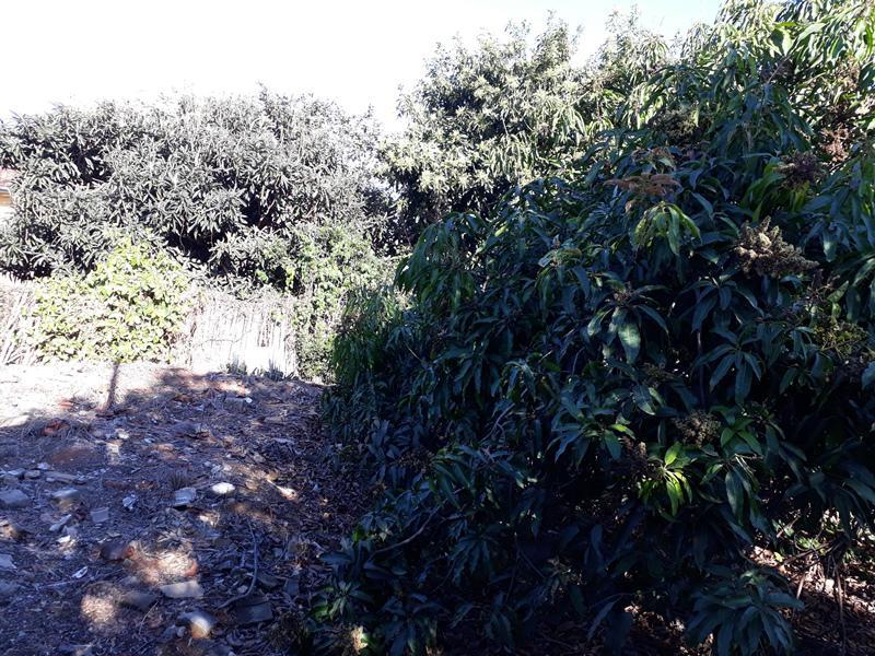 Lote, Centro, 0 Quarto, 0 Vaga