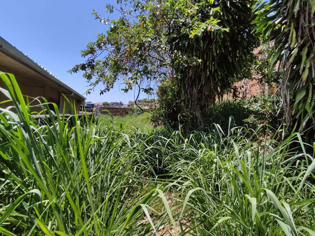 Lote, Santa Cruz, 0 Quarto, 0 Vaga