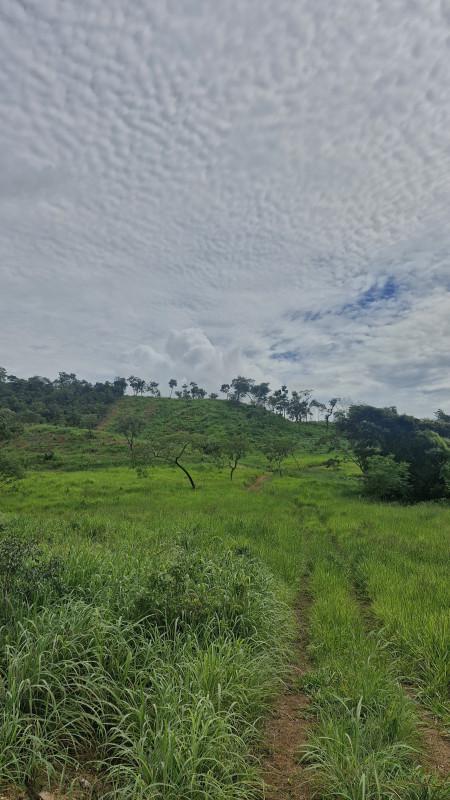 Fazenda, Centro, 0 Quarto, 0 Vaga