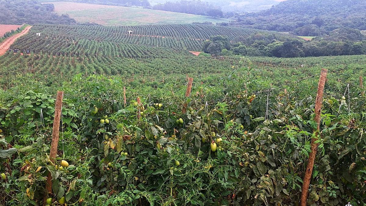 Fazenda, Zona Rural, 3 Quartos, 0 Vaga