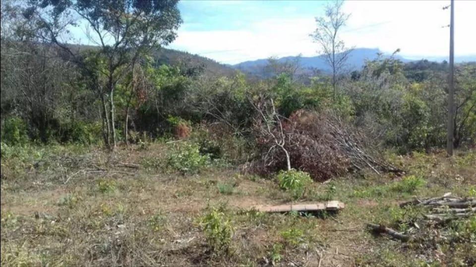 Lote, Morro Vermelho, 0 Quarto, 0 Vaga