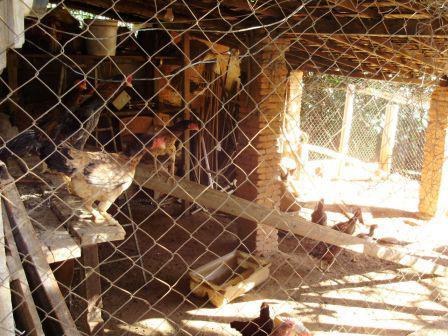 Fazenda, Centro, 4 Quartos, 10 Vagas, 1 Suíte