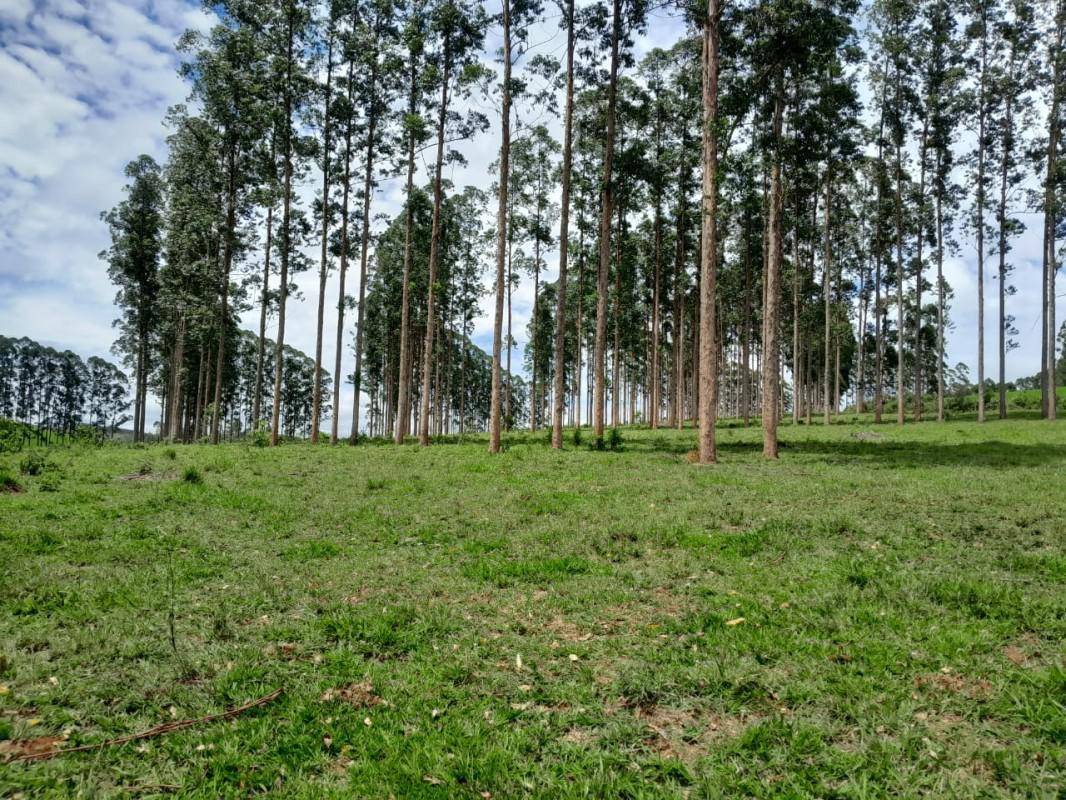 Fazenda, Zona Rural, 0 Quarto, 0 Vaga
