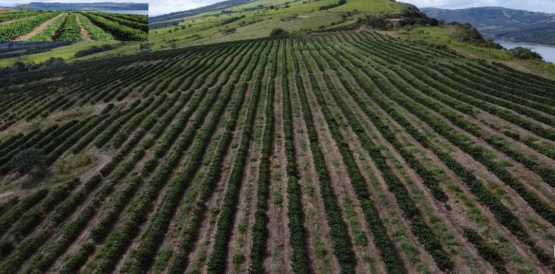 Fazenda, Zona Rural, 3 Quartos, 0 Vaga