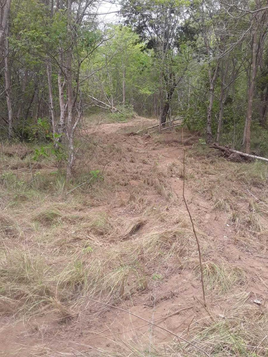 Fazenda, Zona Rural, 3 Quartos, 0 Vaga