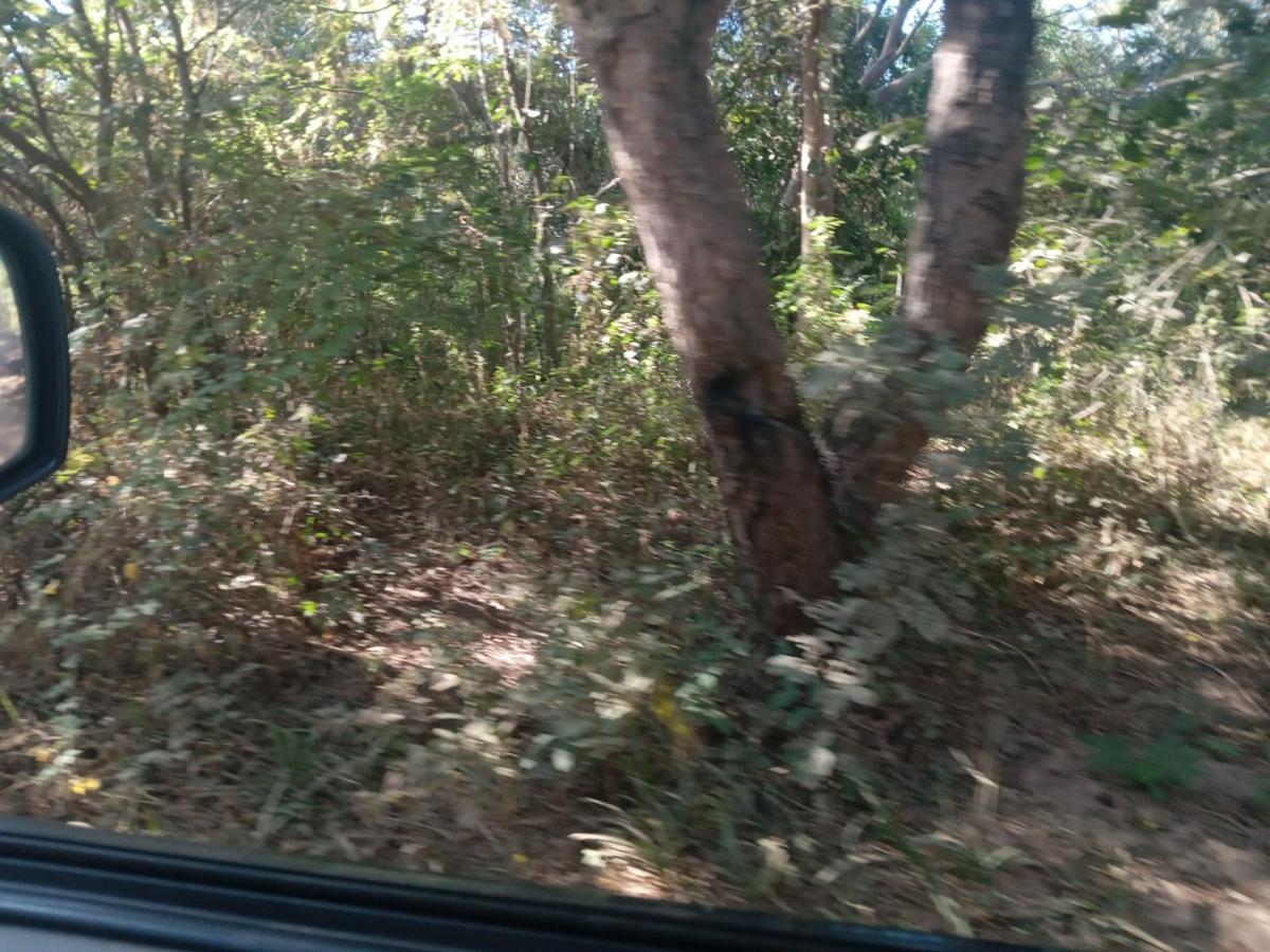 Fazenda, Zona Rural, 0 Quarto, 0 Vaga