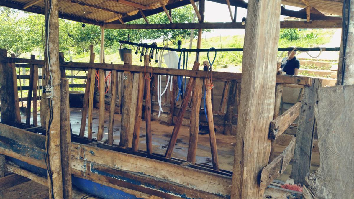 Fazenda, Zona Rural, 3 Quartos, 0 Vaga