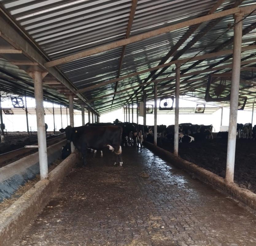 Fazenda, Área Rural de Pará de Minas, 0 Quarto, 0 Vaga