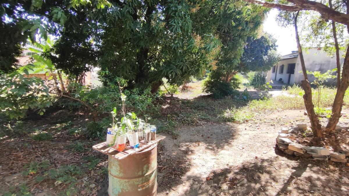 Lote, Novo Progresso, 0 Quarto, 0 Vaga