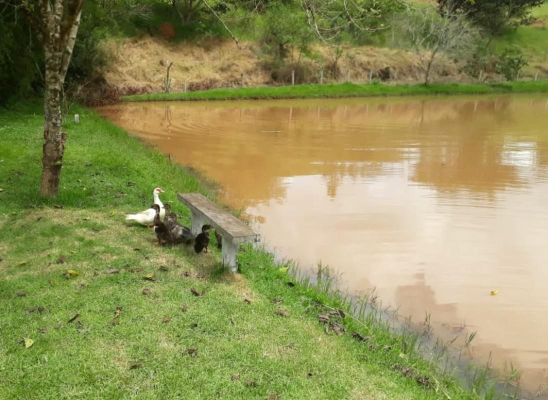 Fazenda, Zona Rural, 0 Quarto, 0 Vaga