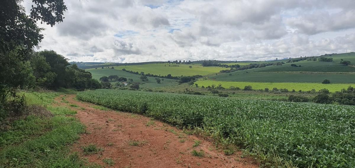 Fazenda, Zona Rural, 3 Quartos, 1 Vaga, 1 Suíte