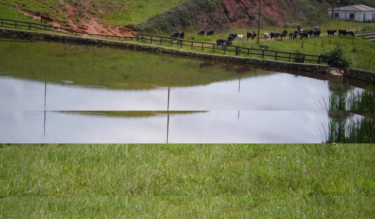 Fazenda, Zona Rural, 6 Quartos, 0 Vaga, 2 Suítes