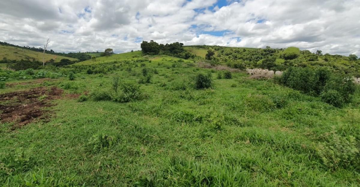 Fazenda, Zona Rural, 4 Quartos, 5 Vagas, 2 Suítes