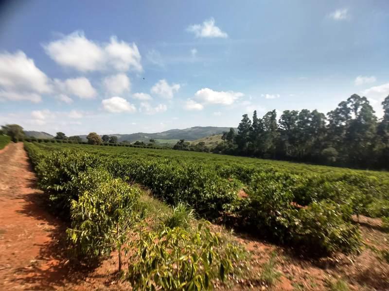 Fazenda, Zona Rural, 0 Quarto, 0 Vaga