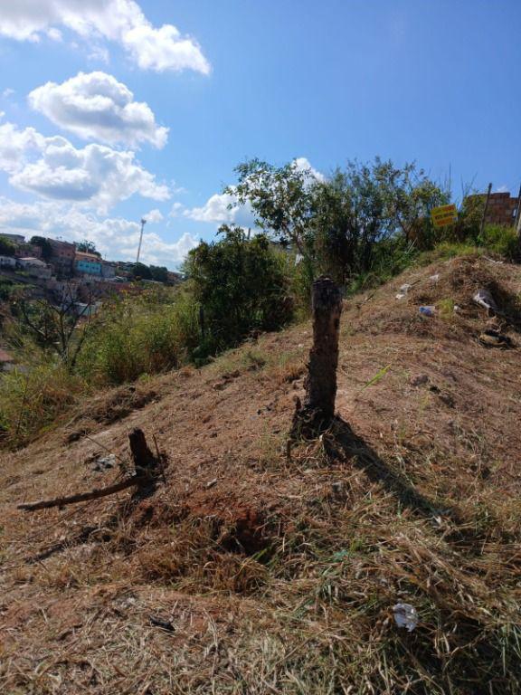Lote, Vila Rica, 0 Quarto, 0 Vaga