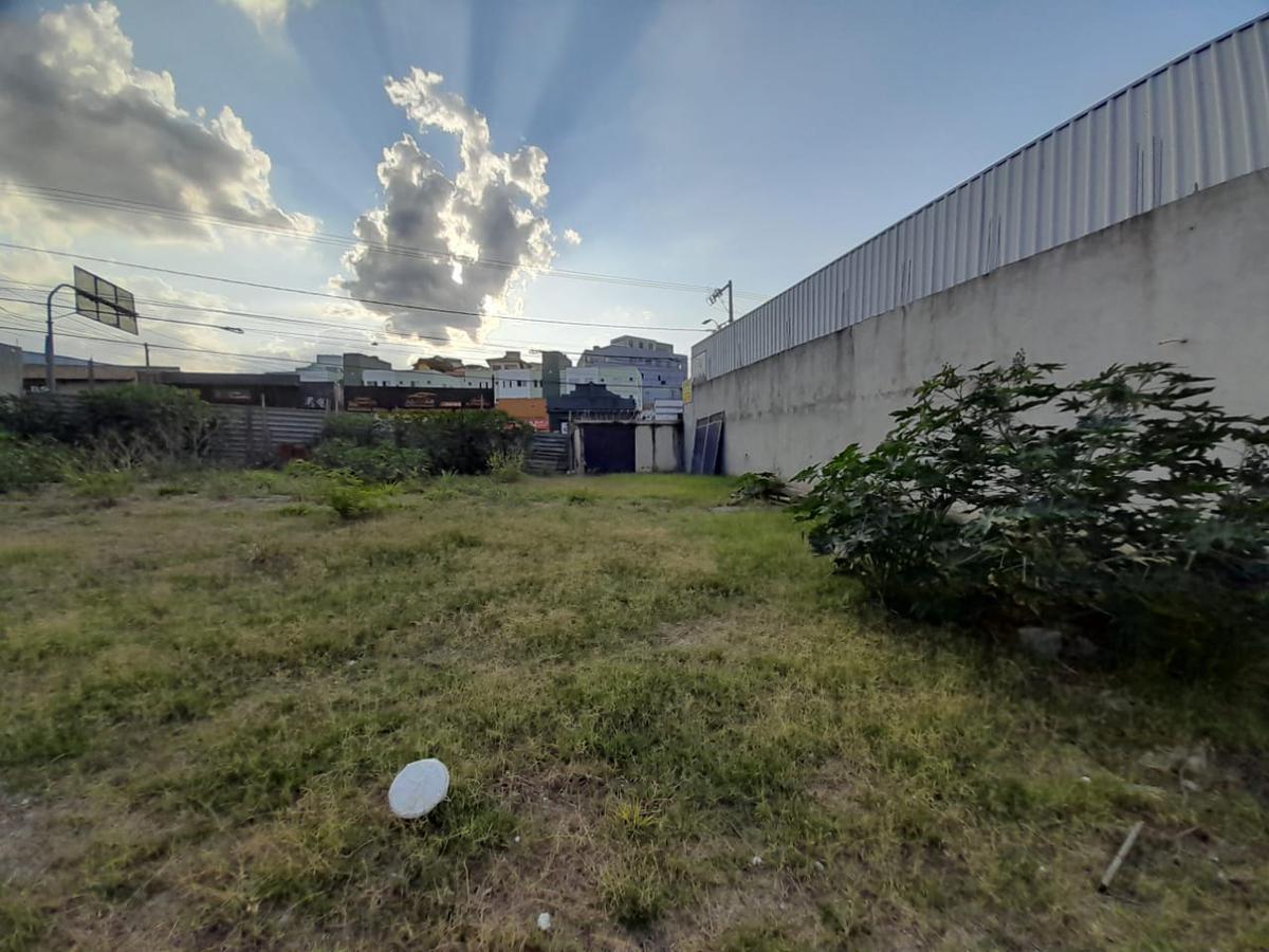 Lote, Floresta, 0 Quarto, 0 Vaga