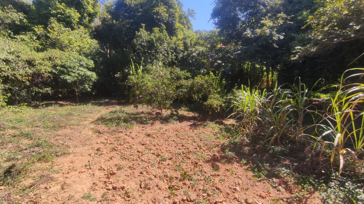 Lote, Centro, 0 Quarto, 0 Vaga