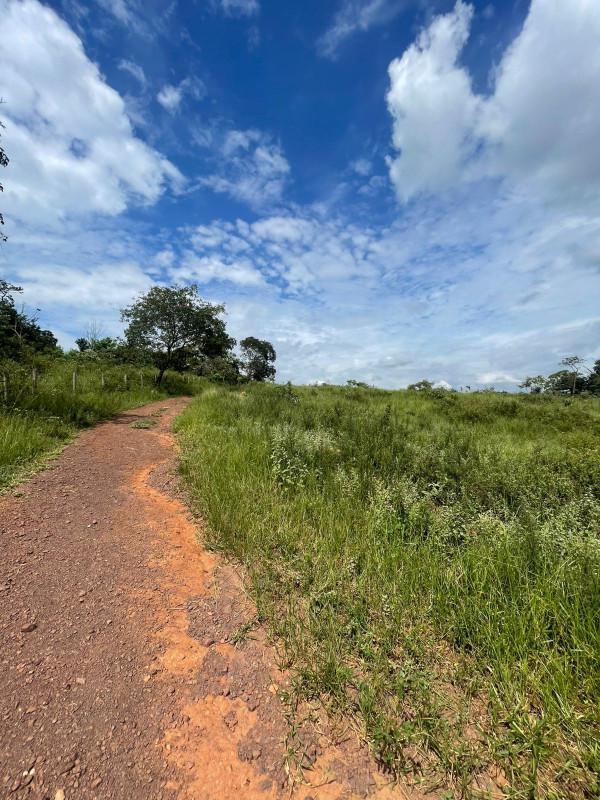 Fazenda, Centro, 8 Quartos, 0 Vaga