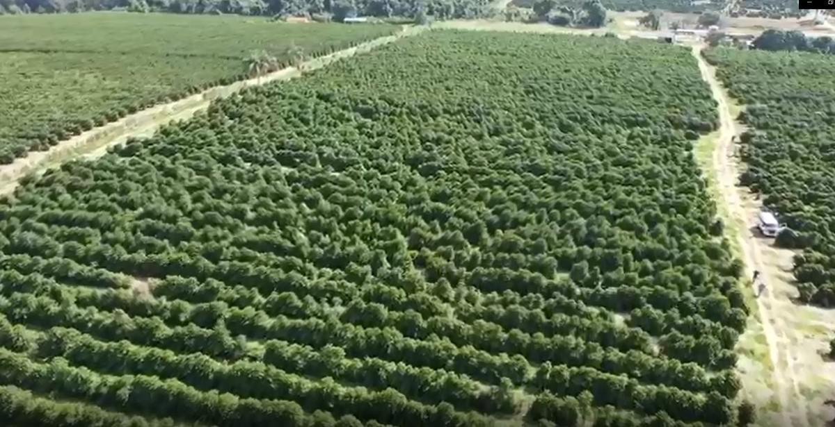 Fazenda, Zona Rural, 0 Quarto, 0 Vaga
