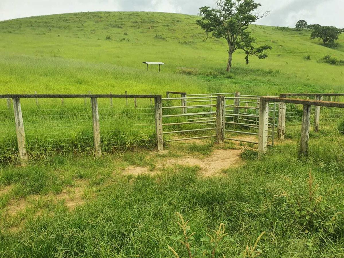 Fazenda, Zona Rural, 4 Quartos, 0 Vaga