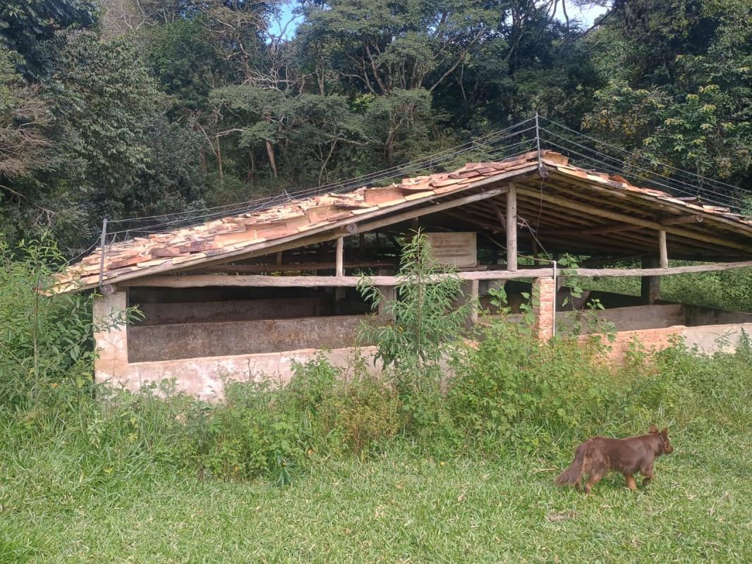Fazenda, Centro, 0 Quarto, 0 Vaga
