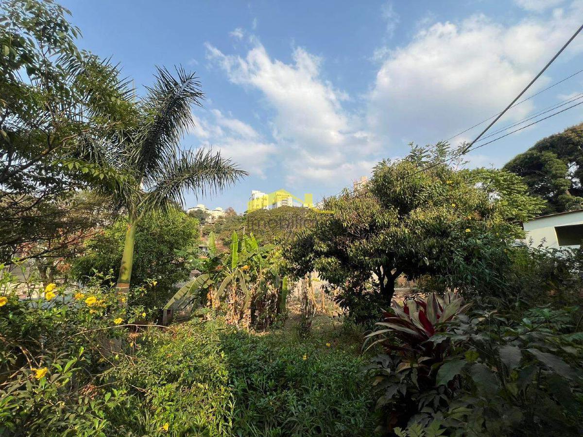 Lote, Cinquentenário, 5 Vagas