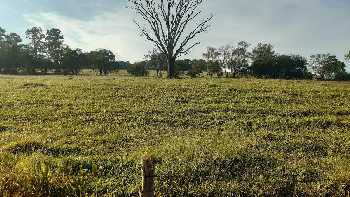 Fazenda, Centro, 1 Quarto, 0 Vaga