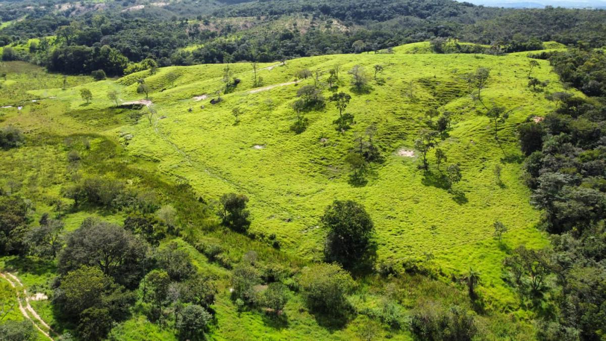 Fazenda, Centro, 0 Quarto, 0 Vaga