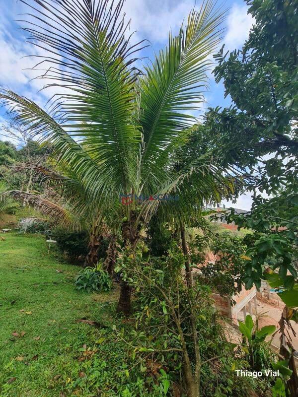 Fazenda, Córrego do Caçador, 0 Quarto, 20 Vagas