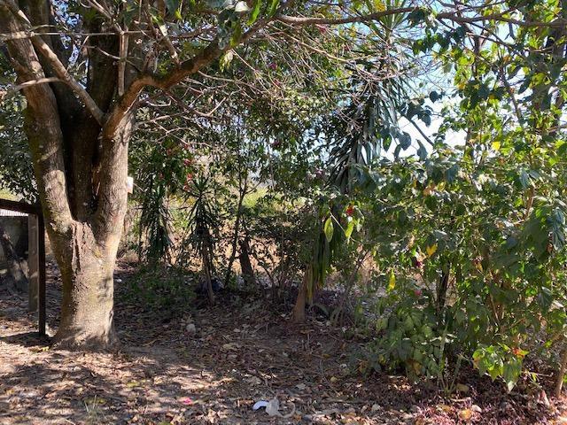 Lote, São José, 0 Quarto, 0 Vaga