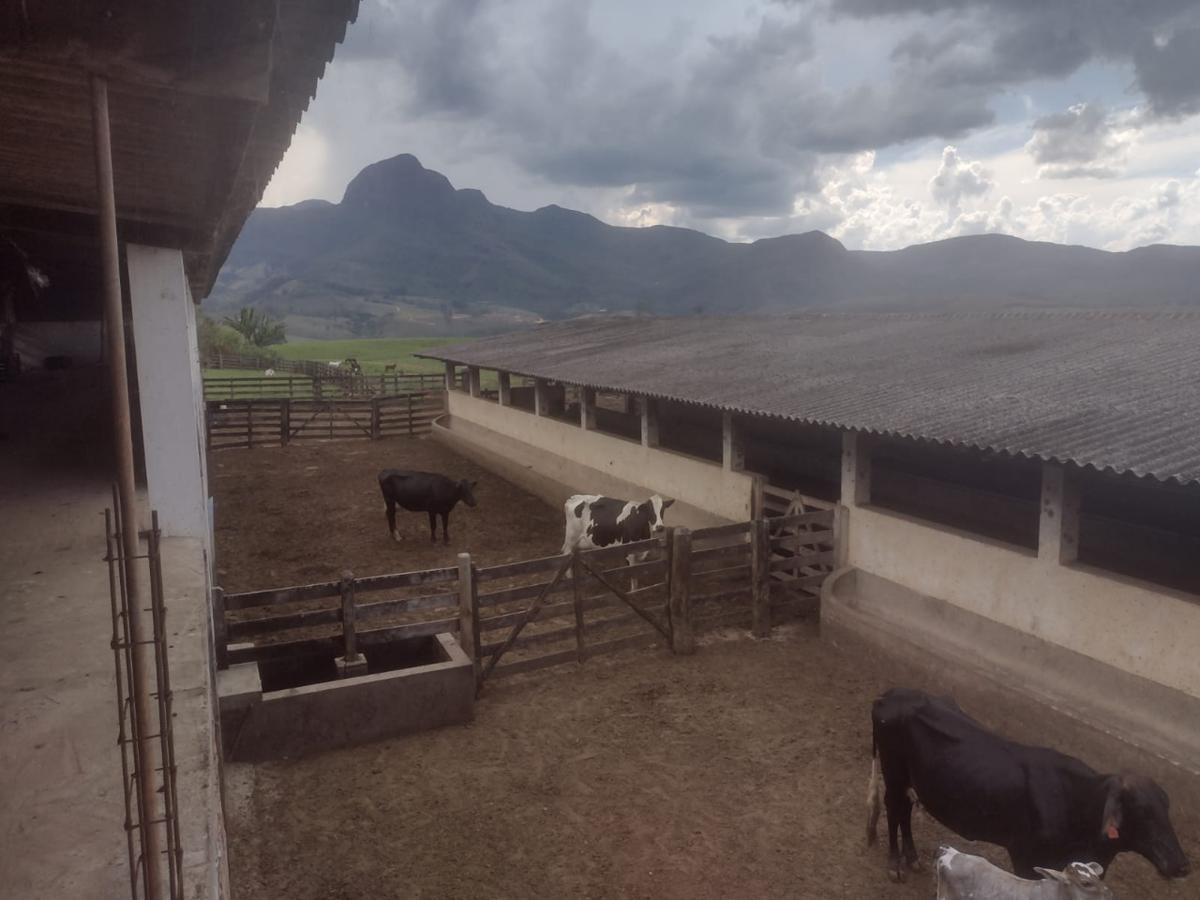 Fazenda, Centro, 3 Quartos, 1 Vaga