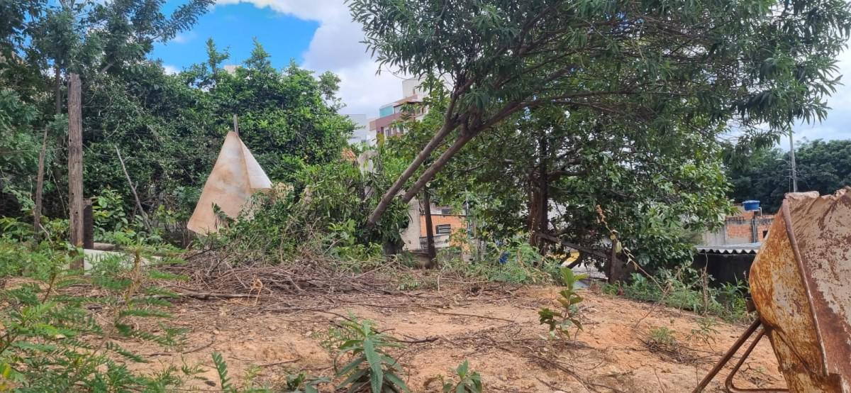 Lote, Nova Vista, 0 Quarto, 0 Vaga