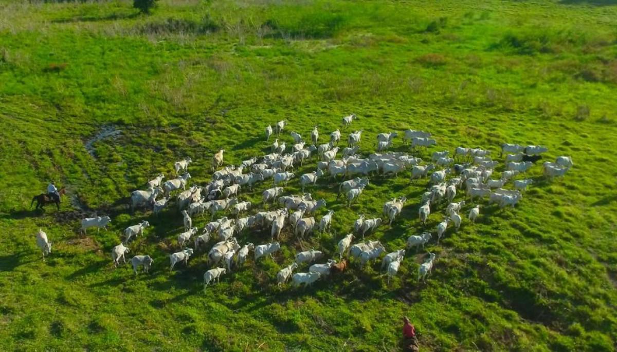 Fazenda, Zona Rural, 0 Quarto, 0 Vaga
