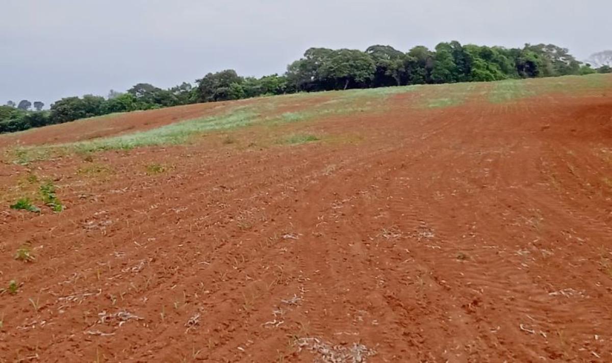 Fazenda, Zona Rural, 0 Quarto, 0 Vaga