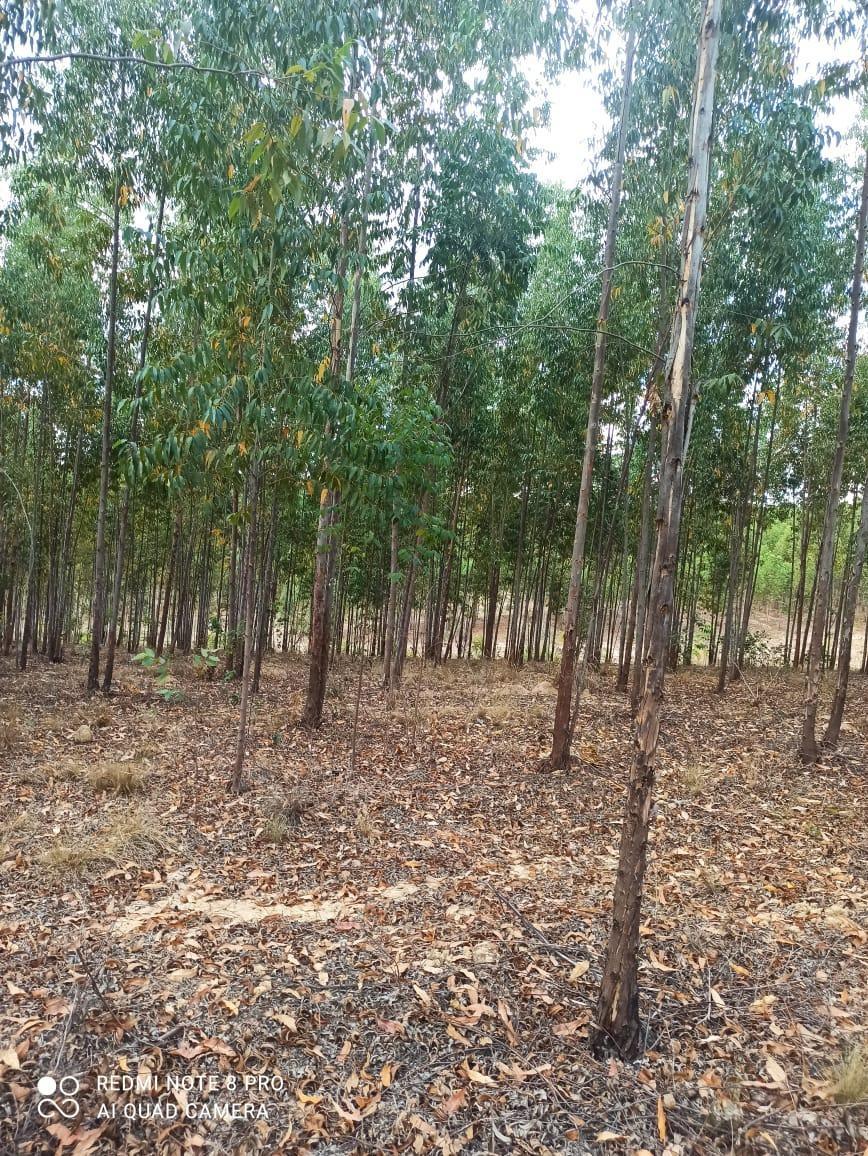 Fazenda, Zona Rural, 0 Quarto, 0 Vaga