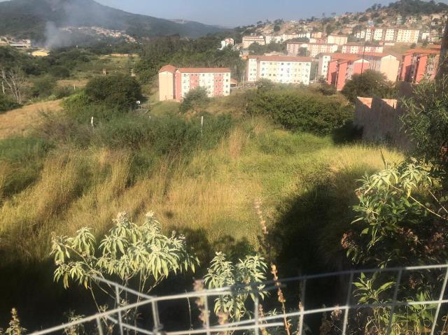 Lote, Jardim Vitória, 0 Quarto, 0 Vaga