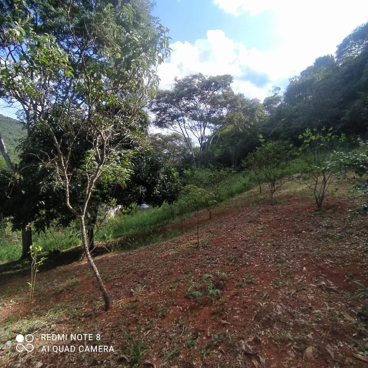 Fazenda, Zona Rural, 3 Quartos, 5 Vagas